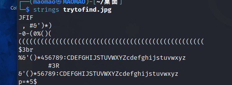 image-20240224144842835