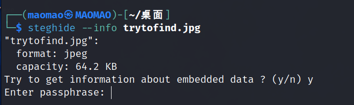 image-20240224145542993