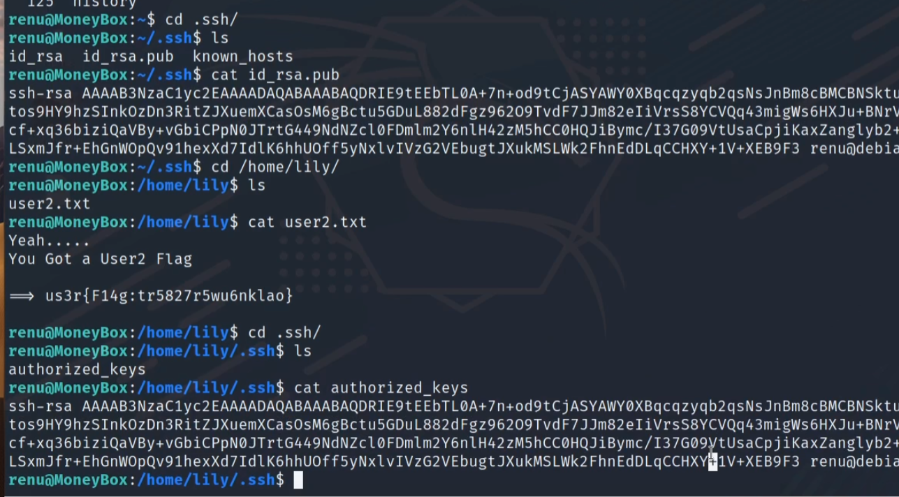 image-20240224155228221