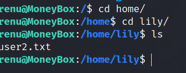 image-20240224155409701