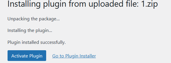 image-20240302101947382