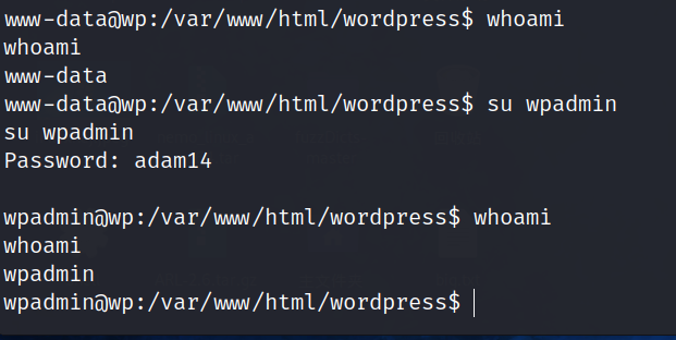 image-20240302124436690