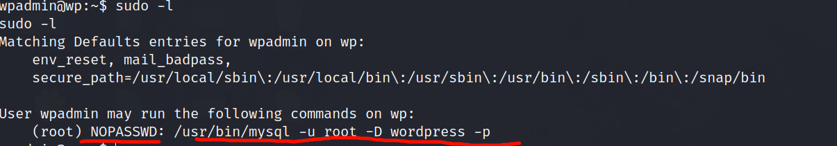 image-20240302124948688