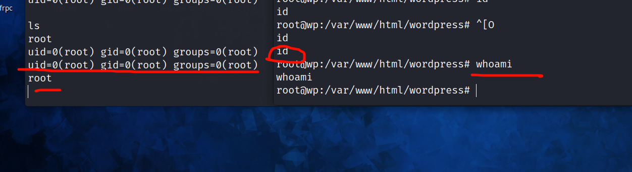 image-20240302131229085