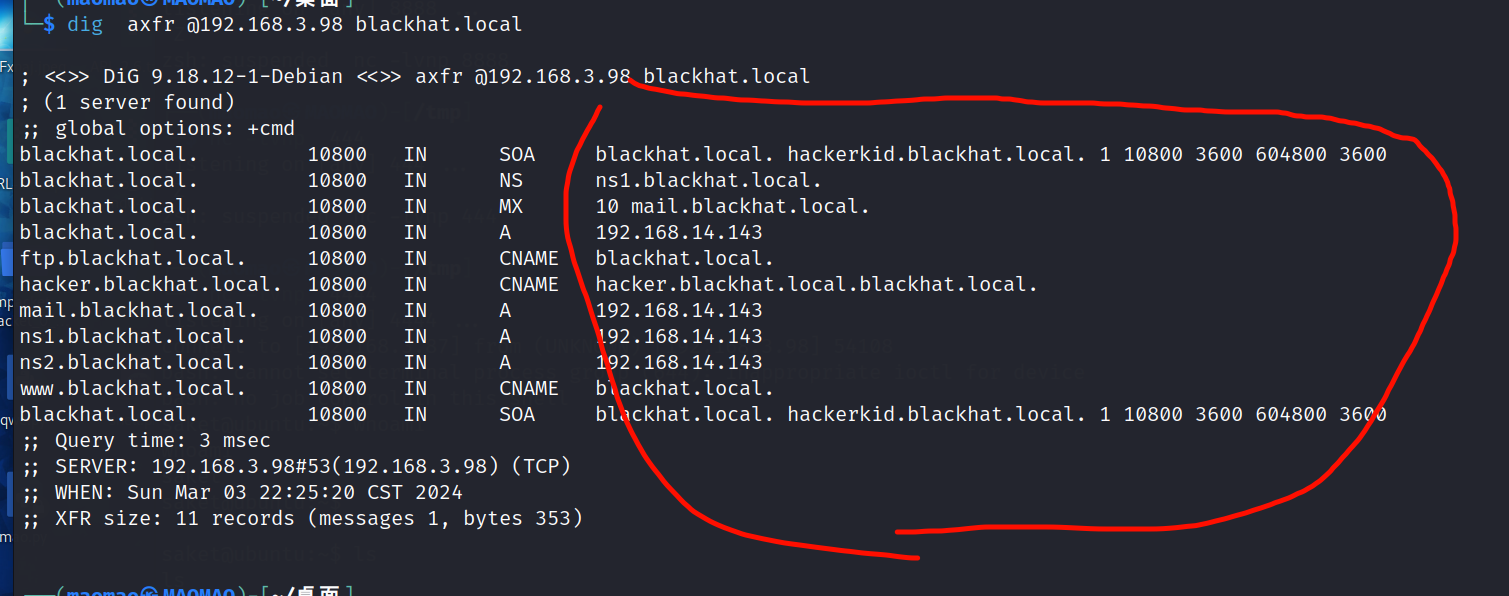 image-20240303222531393