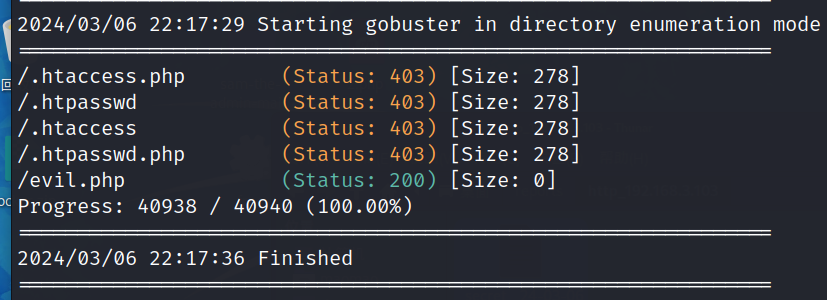 image-20240306221913386