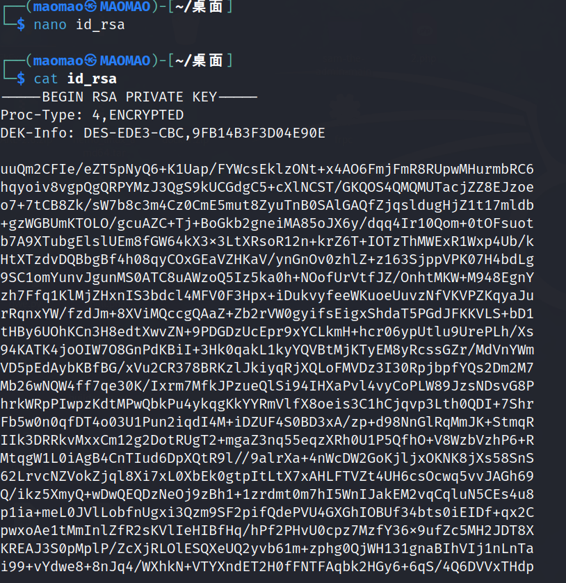 image-20240307093010815