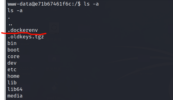 image-20240309203802870