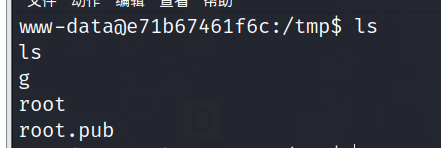 image-20240309204639624