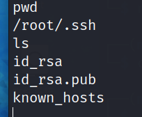 image-20240309210529019