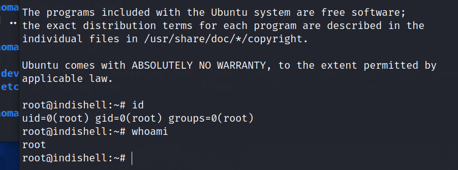image-20240313154734259