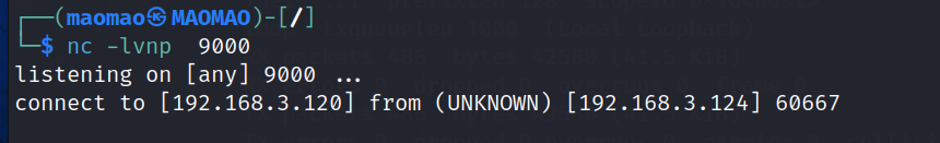 image-20240313170123676