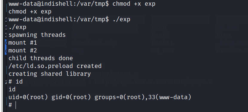 image-20240313214846517