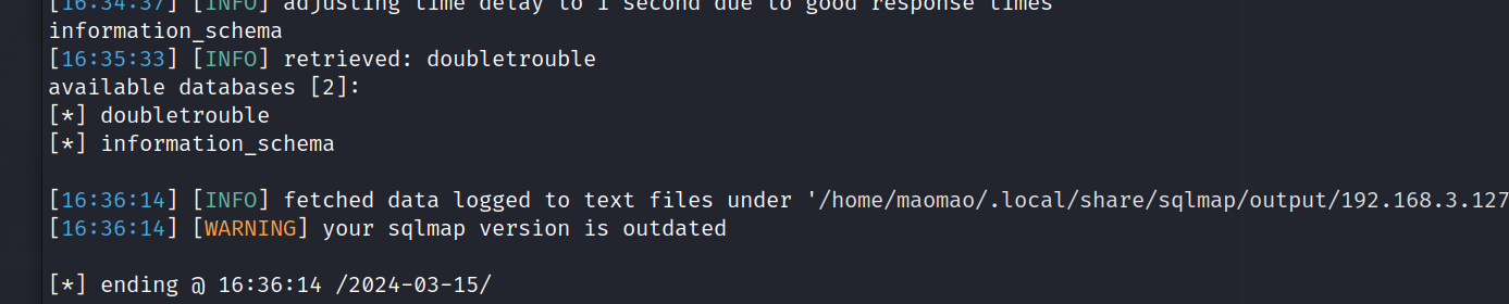 image-20240315163721036