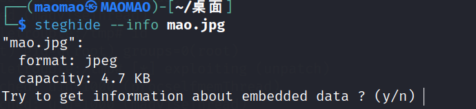 image-20240315193832262