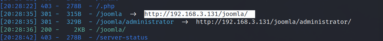 image-20240318203027309