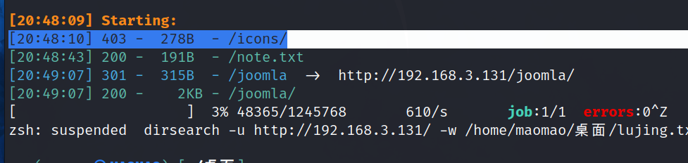 image-20240318204946381