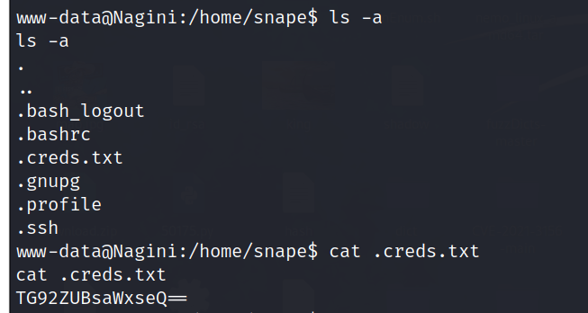image-20240319095720814