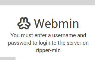 image-20240323202442462