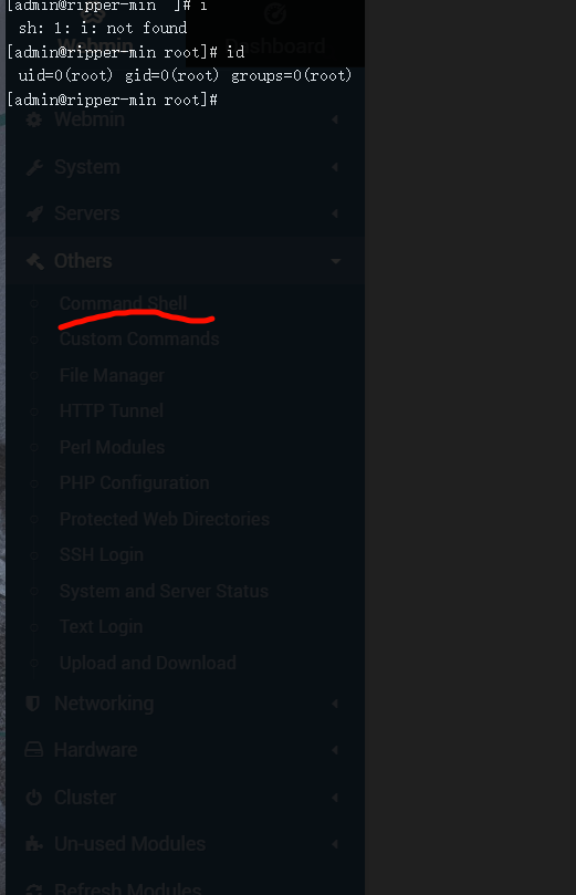 image-20240323213421124